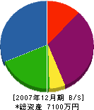 渡辺組 貸借対照表 2007年12月期
