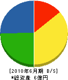 大島組 貸借対照表 2010年6月期
