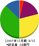 地田 貸借対照表 2007年12月期