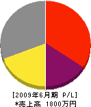 新日本建設 損益計算書 2009年6月期