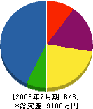 手塚組 貸借対照表 2009年7月期
