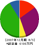 池田建設 貸借対照表 2007年12月期