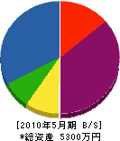 川村工務店 貸借対照表 2010年5月期