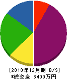 稲田管工業 貸借対照表 2010年12月期