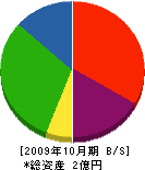 斉藤木材工業 貸借対照表 2009年10月期