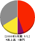 坂東塗工 損益計算書 2008年9月期