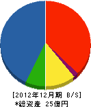 大坂建設 貸借対照表 2012年12月期