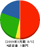 岩田土木興業 貸借対照表 2009年3月期