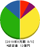 西井商店 貸借対照表 2010年8月期