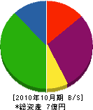 森井電機 貸借対照表 2010年10月期