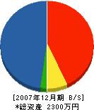 豊島燃料 貸借対照表 2007年12月期