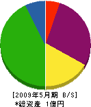 岩田組 貸借対照表 2009年5月期