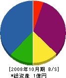 国豊工業 貸借対照表 2008年10月期