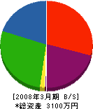 山正金沢商会 貸借対照表 2008年3月期