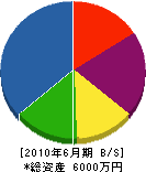 錦幸緑化建設 貸借対照表 2010年6月期