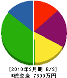 京葉電材サービス 貸借対照表 2010年9月期