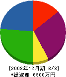 昭和装飾 貸借対照表 2008年12月期