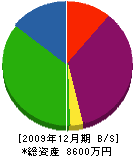 松原電機商会 貸借対照表 2009年12月期