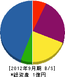 渡辺電業社 貸借対照表 2012年9月期