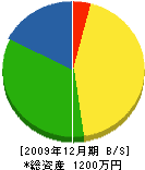 前田電設 貸借対照表 2009年12月期