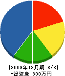 田口畳店 貸借対照表 2009年12月期