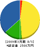 須藤電業 貸借対照表 2009年3月期