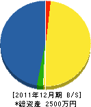 菅谷電気店 貸借対照表 2011年12月期