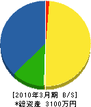 新田電気商会 貸借対照表 2010年3月期