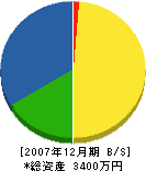 田中電機商会 貸借対照表 2007年12月期