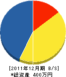 崎山電気工事店 貸借対照表 2011年12月期