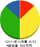 藤崎造園 貸借対照表 2011年12月期