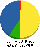 大澤造園 貸借対照表 2011年12月期