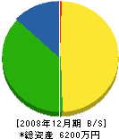 澤田組 貸借対照表 2008年12月期