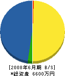 大洋建設 貸借対照表 2008年6月期