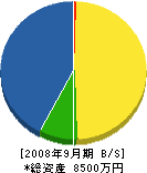 宮坂工務店 貸借対照表 2008年9月期