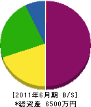 琉電工業社 貸借対照表 2011年6月期
