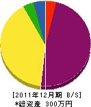 総合造園北川 貸借対照表 2011年12月期