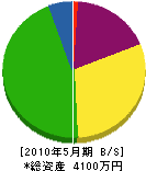 日電工業 貸借対照表 2010年5月期