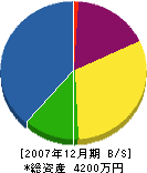 日新電設工業所 貸借対照表 2007年12月期