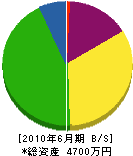 岩田造園 貸借対照表 2010年6月期