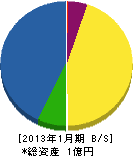 菊地電気 貸借対照表 2013年1月期