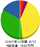 林田造園資材 貸借対照表 2007年12月期
