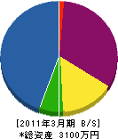 下井田造園 貸借対照表 2011年3月期