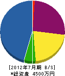 駒田建設 貸借対照表 2012年7月期