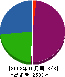 山靖園 貸借対照表 2008年10月期