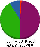 林テレビサービス 貸借対照表 2011年12月期