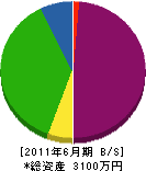 神田建設 貸借対照表 2011年6月期