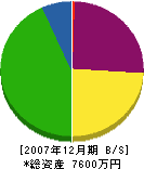 総合塗装菅井 貸借対照表 2007年12月期