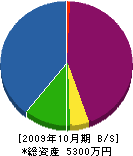 梶石材店 貸借対照表 2009年10月期