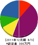 薮田建設 貸借対照表 2011年12月期